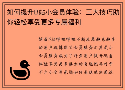 如何提升B站小会员体验：三大技巧助你轻松享受更多专属福利